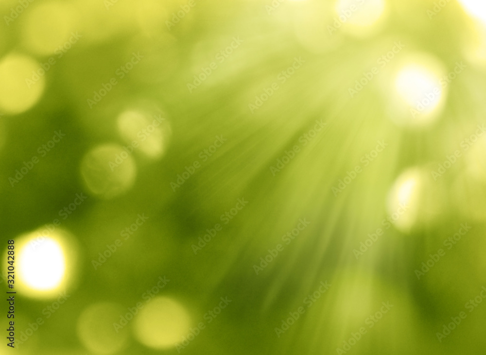 Obraz premium abstract background spring green yellow blurred forest