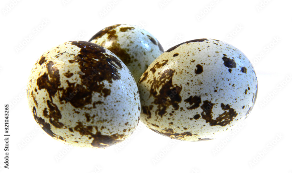 Obraz premium egg isolated on white background