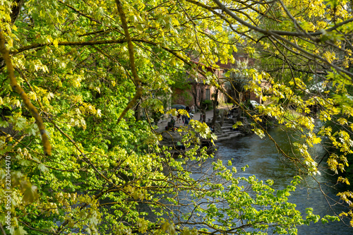 Green city Vilnius. View of River Vilnia through spring trees branches: gentle greenery, stream of the river and silhouettes of the people in the arts yard. photo