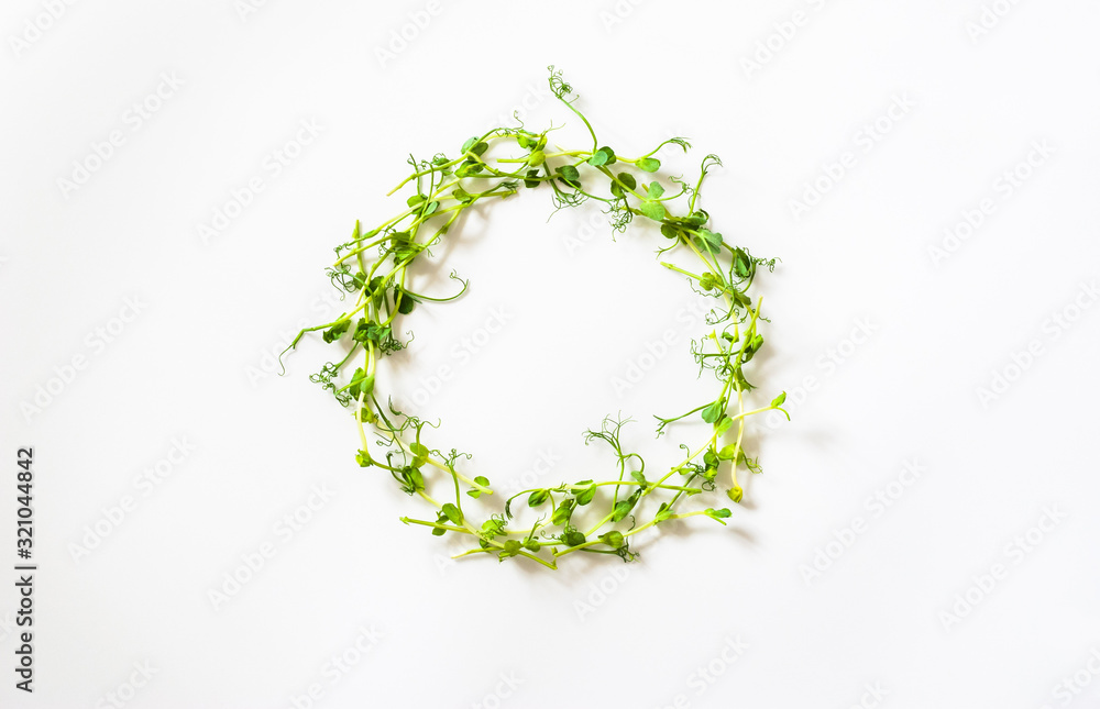 Wreath made of vernal green pea sprouts on a white backdrop. Spring composition with delicious and vitamin microgreens to illustrate healthy nutrition ingredients. Wreath made of vernal green pea sprouts on a white backdrop. Spring composition with delicious and vitamin microgreens to illustrate healthy nutrition ingredients.