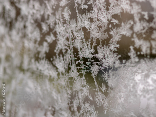 ice flower texture  ice flower fragments on blurred background