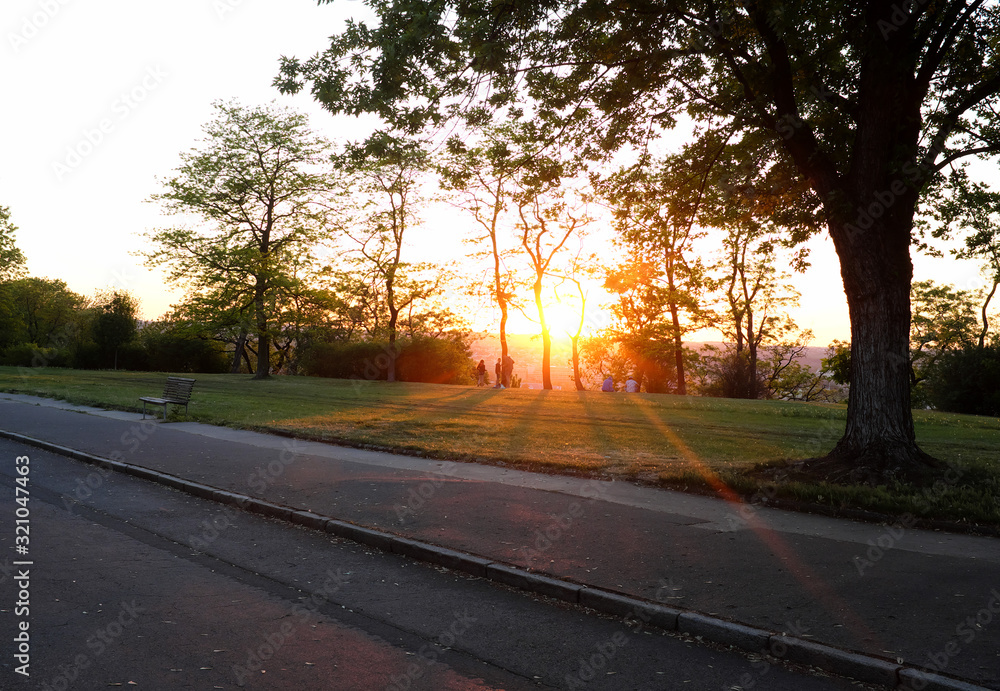 Fototapeta premium Golden sunset shining through trees in a peaceful public park with walkway.