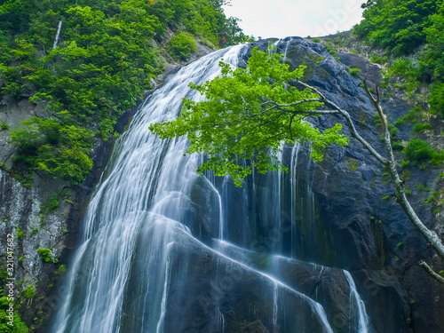 yasunotaki falls            