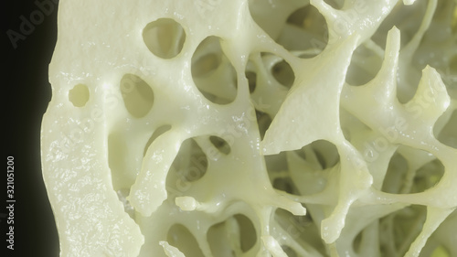 Bone affected with osteoporosis - cross section - 3D rendering