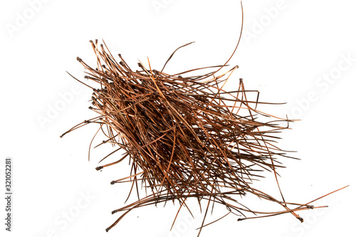dry christmas tree needles isolated on white background