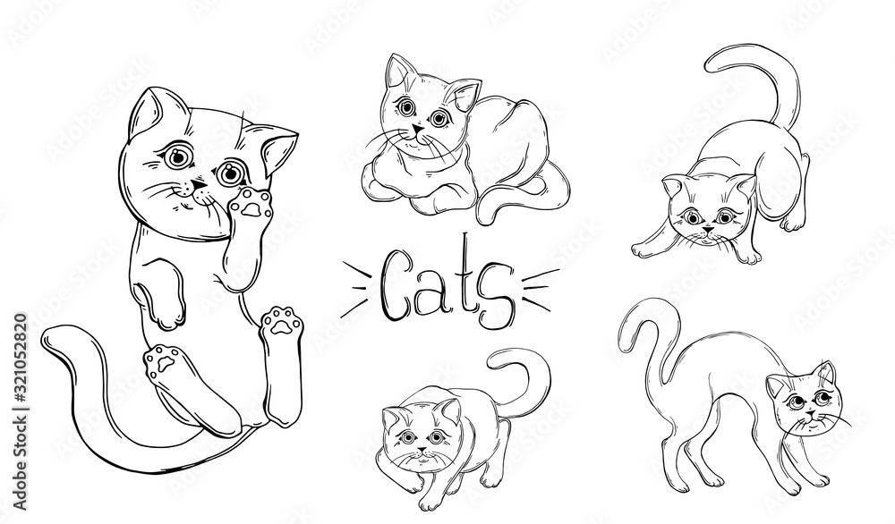 set of graphic black and white cats. set of graphic black and white cats.