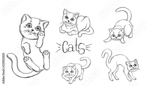 set of graphic black and white cats.