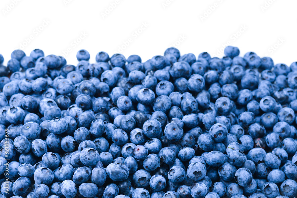 Fresh blueberry background. Texture blueberry berries close up. Fresh blueberry background. Texture blueberry berries close up.