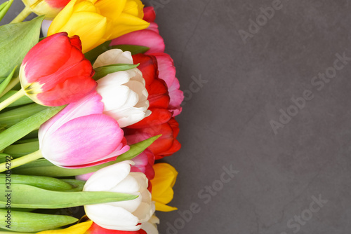 Fototapeta Naklejka Na Ścianę i Meble -  A bouquet of fresh, bright, multi-colored tulips on a gray background.