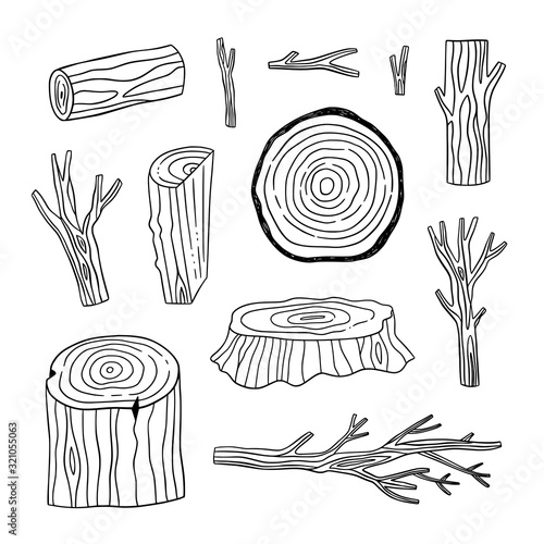 Tree trunks with tree rings and vector illustration set. Wooden elements, tree branches hand drawn collection