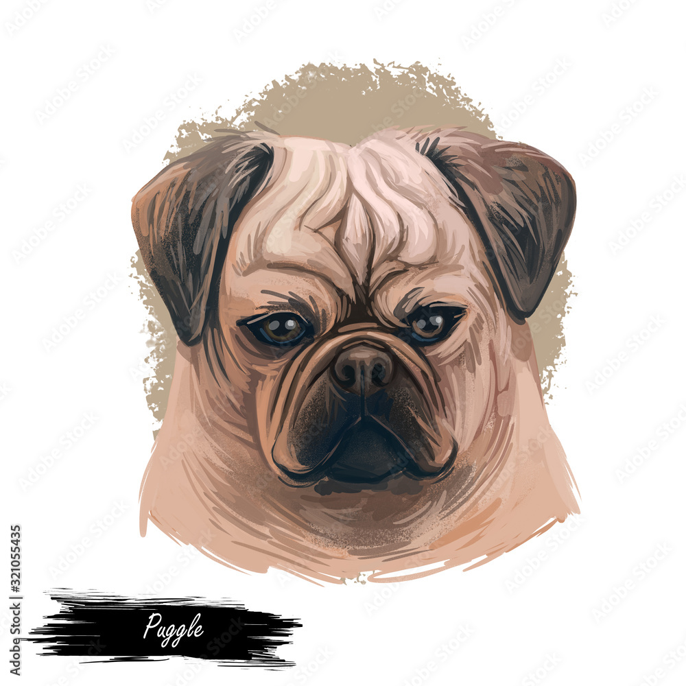 bully dog accessories