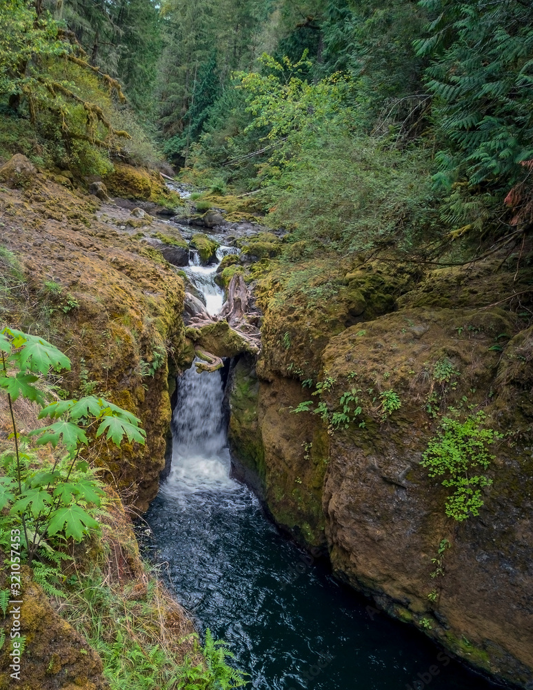 Dazzling Deschutes Falls plunging over the cliff into a breathtaking canyon surrounded by green bushes in Thurston County Yelm Washington State