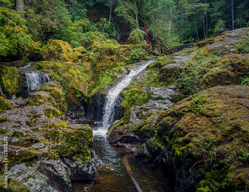 Remarkable Lower Little Mashel Falls cascading into a moss covered rocky surface leading to a small pool of water in the creek at the Charles Pack Forest during the summer in Pierce County Washington 