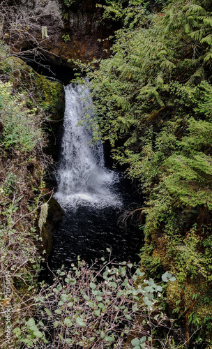 Dazzling Deschutes Falls plunging over the cliff into a breathtaking canyon surrounded by green bushes in Thurston County Yelm Washington State