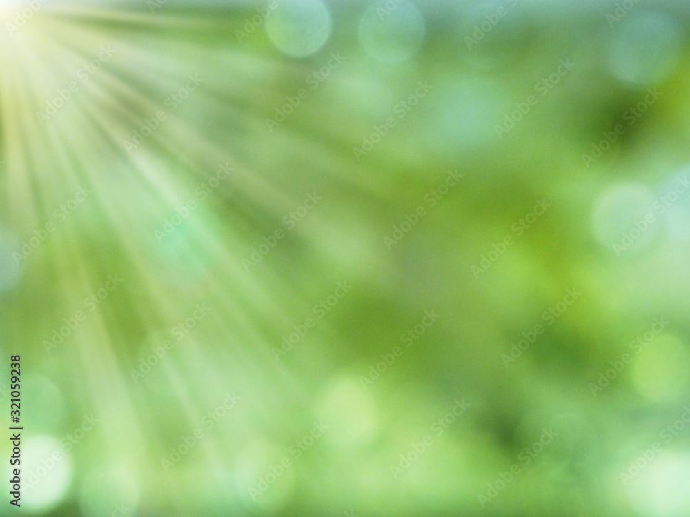 abstract background spring green yellow blurred forest abstract background spring green yellow blurred forest