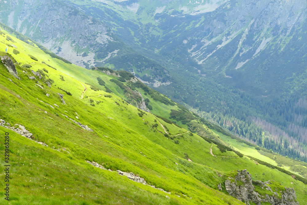 Obraz premium Green alp in Tatra Mountains