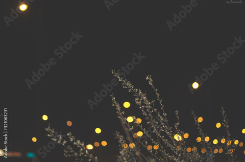 Abstract lights with flowers.