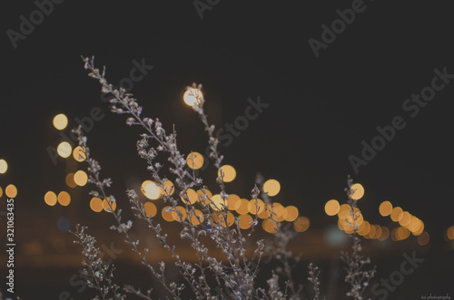 Abstract lights with flowers.