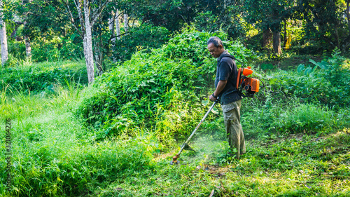 A middle aged man cutting the the thick bushes using the brush cutter machine under the scorching sun.