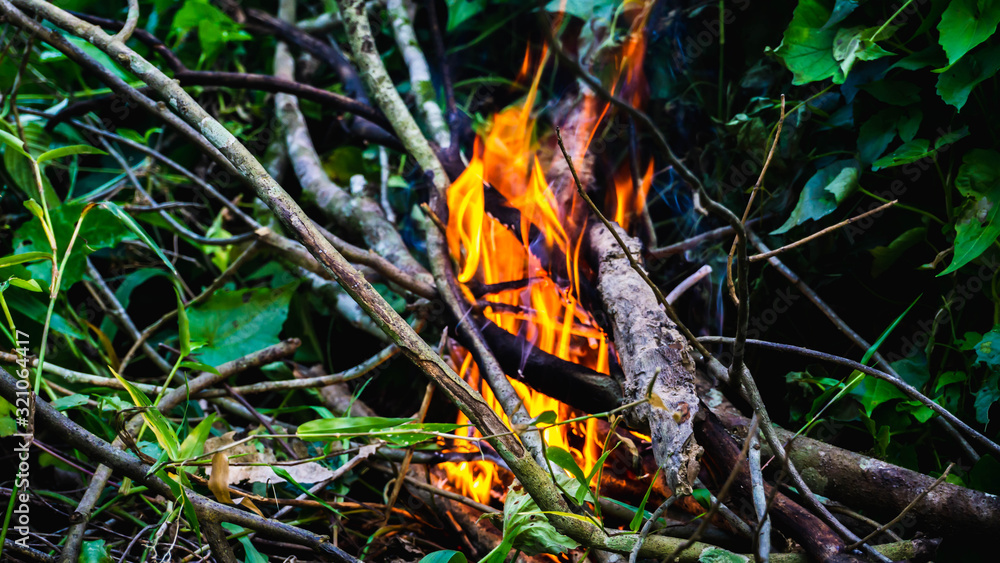 Close up view of fire burning the old dried tree branches and woods in the garden. Close up view of fire burning the old dried tree branches and woods in the garden.