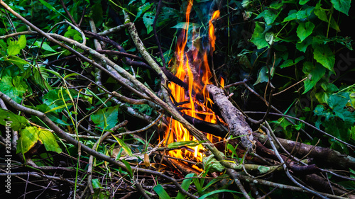 Close up view of fire burning the old dried tree branches and woods in the garden.