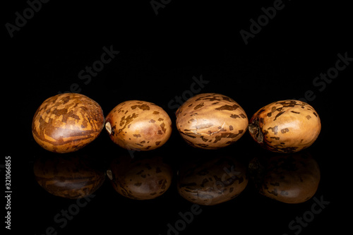 Group of four whole mottled brown bean pinto line isolated on black glass
