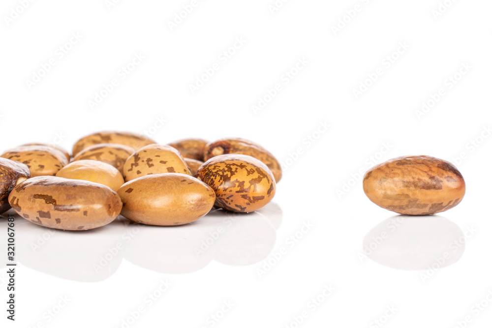 Lot of whole mottled brown bean pinto isolated on white background Lot of whole mottled brown bean pinto isolated on white background
