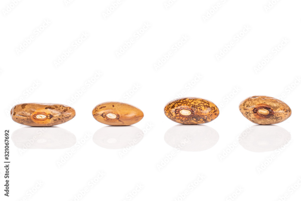 Group of four whole mottled brown bean pinto isolated on white background Group of four whole mottled brown bean pinto isolated on white background