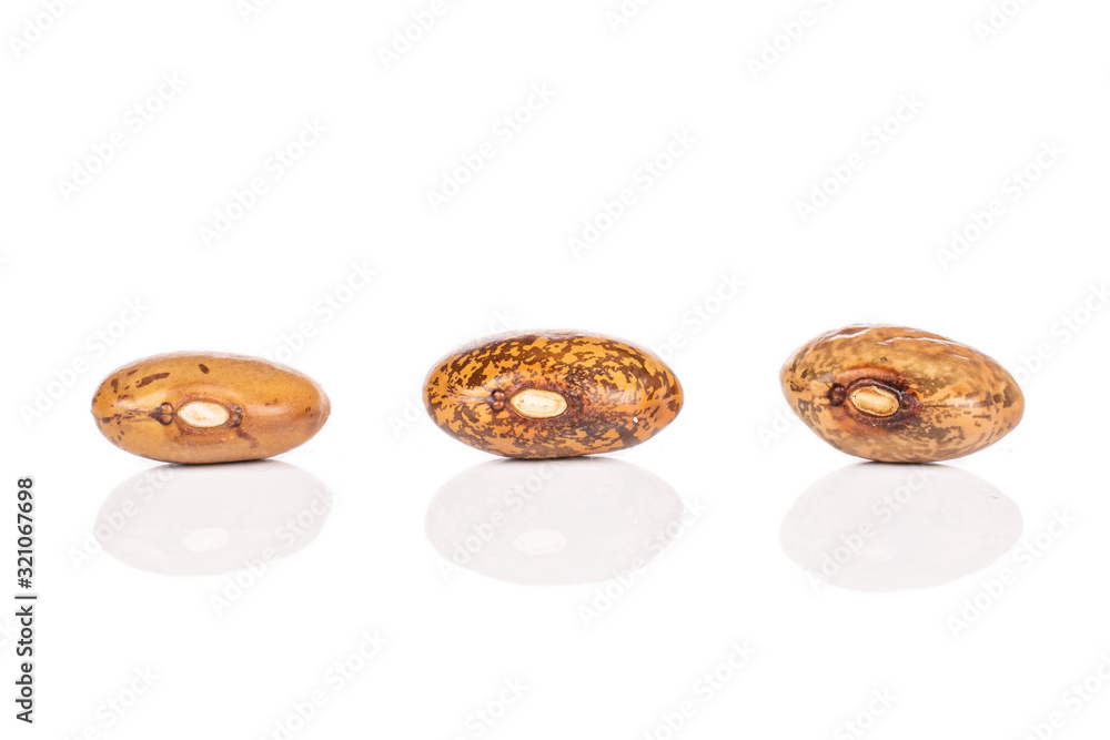 Group of three whole mottled brown bean pinto isolated on white background