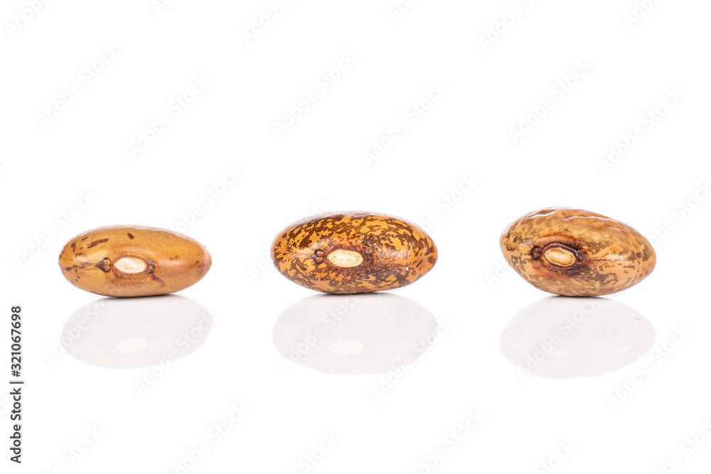Group of three whole mottled brown bean pinto isolated on white background Group of three whole mottled brown bean pinto isolated on white background