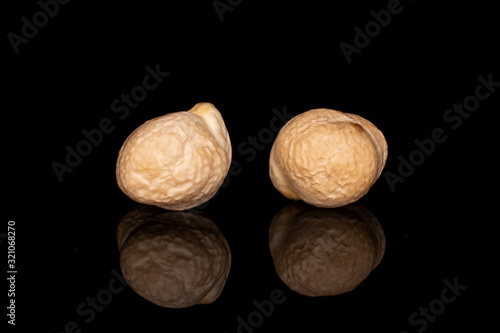 Group of two whole fresh tan chickpea isolated on black glass photo