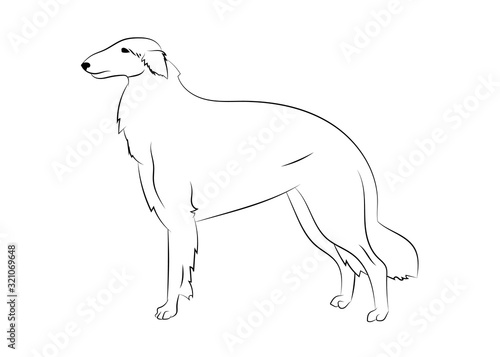 Russian Borzoi dog. Vector outline stock illustration realistic lines silhouette for logo  print tattoo  coloring book.