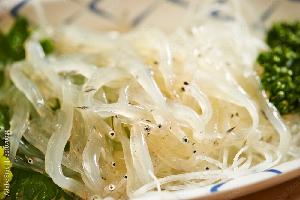 Shirauo sashimi, Japanese fresh raw fish dish 