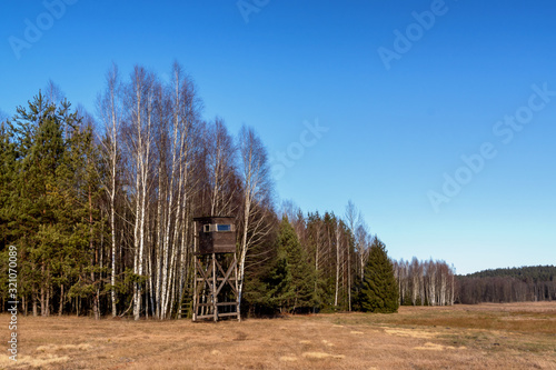 Fototapeta Naklejka Na Ścianę i Meble -  Puszcz Knyszyńska, łagodna zima 2020, anomalie pogodowe, Podlasie, Polska