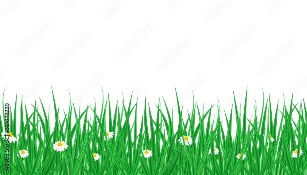 Naklejka Vector horizontal endless border with green grass and blooming Bellis flowers. Spring or summer background for decoration, sale, offers, print. Floral seamless pattern with copy space.