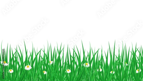 Vector horizontal endless border with green grass and blooming Bellis flowers. Spring or summer background for decoration, sale, offers, print. Floral seamless pattern with copy space.