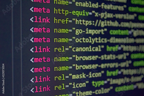 developer software source code screen. programming code. writing script. programmer editing code background
