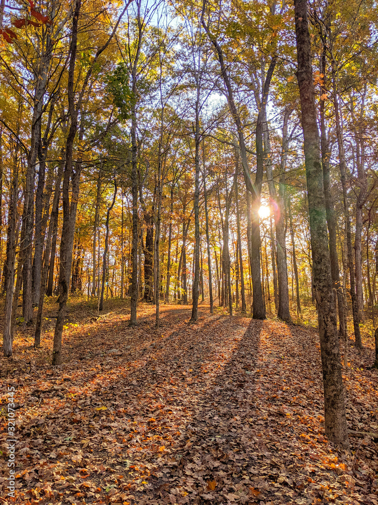 Obraz premium Sunbeam on fall trail