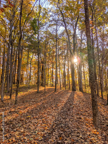 Sunbeam on fall trail