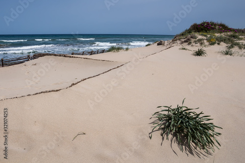 Fototapeta Naklejka Na Ścianę i Meble -  Sand dunes on the coast, Sardinia, Italy