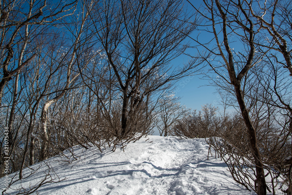 Obraz premium 雪山