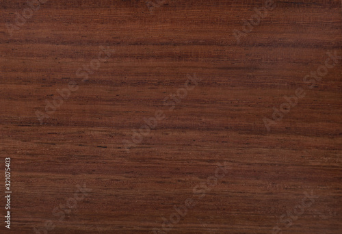 Close up of Red Sisham (Dalbergia Sisso) wood texture photo