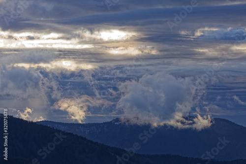 brume dans la forêt des Vosges © Olympixel