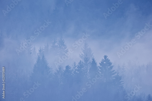 brume dans la forêt des Vosges