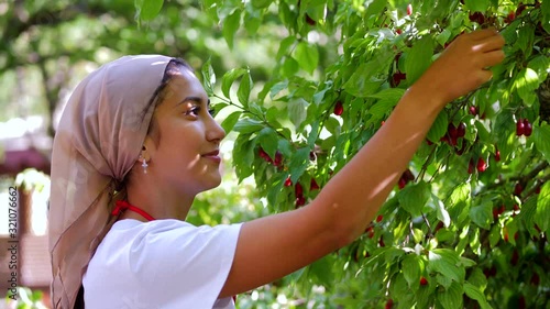 A beautiful young girl picked dogwood in an apron