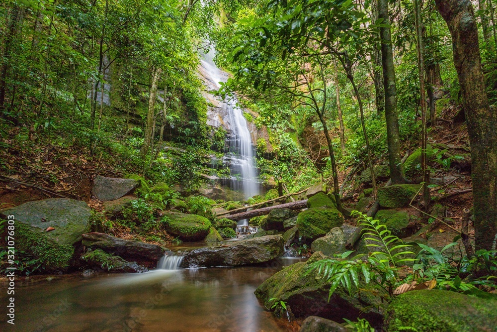 Obraz premium waterfall in the forest