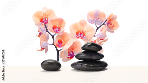 orchid flower and stone