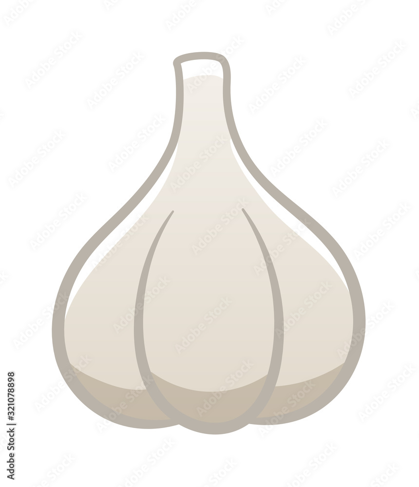Cartoon style isolated garlic on white background Cartoon style isolated garlic on white background