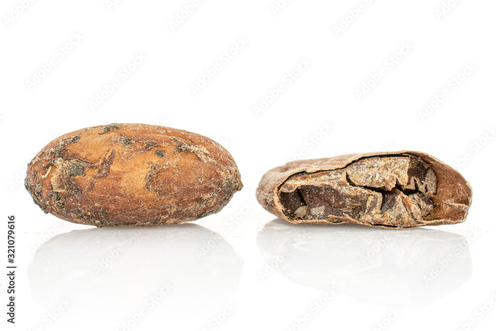 Group of one whole one half of fresh brown cocoa bean isolated on white background Group of one whole one half of fresh brown cocoa bean isolated on white background