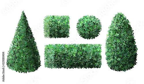 Realistic garden bushes. Topiary boxwood gardener evergreen fence with leaves, geometric tree crown bush foliage nature green seasonal shrub vector isolated 3d illustration set